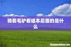 骑着毛驴看唱本后面的是什么