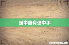 强中自有强中手