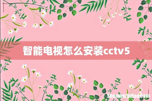 智能电视怎么安装cctv5