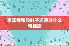 李泽锋和殷叶子还演过什么电视剧