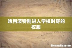 哈利波特刚进入学校时穿的校服