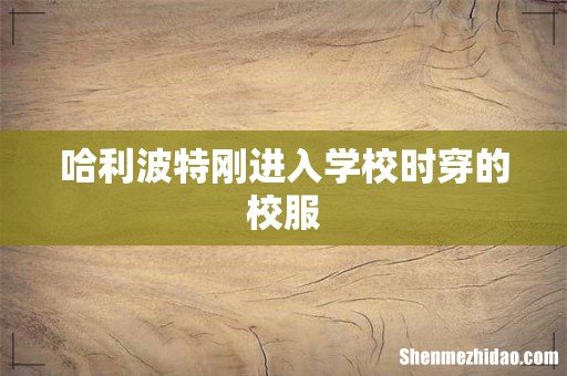 哈利波特刚进入学校时穿的校服