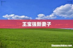 王宝强新妻子
