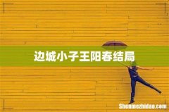 边城小子王阳春结局