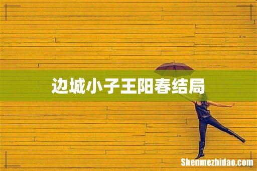 边城小子王阳春结局