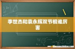 李世杰和袁永辉双节棍谁厉害
