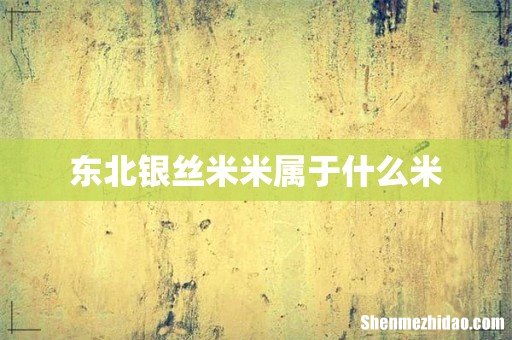 东北银丝米米属于什么米