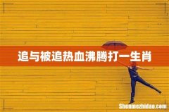 追与被追热血沸腾打一生肖