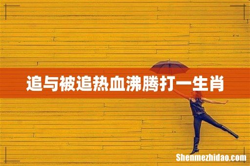 追与被追热血沸腾打一生肖