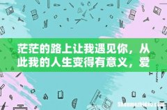 茫茫的路上让我遇见你，从此我的人生变得有意义，爱情的光芒照亮了前方。求歌名