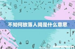 不知何故落人间是什么意思