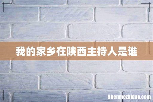 我的家乡在陕西主持人是谁