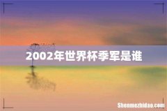 2002年世界杯季军是谁