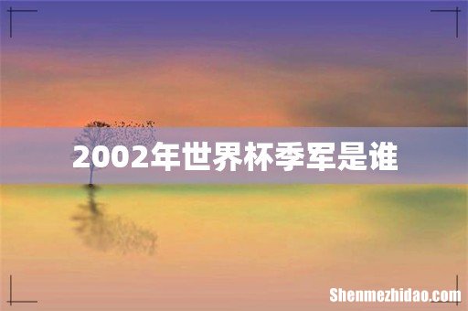2002年世界杯季军是谁
