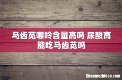 马齿苋嘌呤含量高吗 尿酸高能吃马齿苋吗