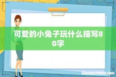 可爱的小兔子玩什么描写80字