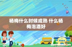 杨梅什么时候成熟 什么杨梅泡酒好