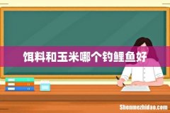 饵料和玉米哪个钓鲤鱼好