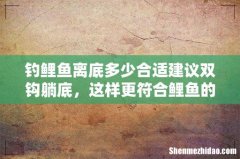 钓鲤鱼离底多少合适建议双钩躺底，这样更符合鲤鱼的摄食习性！