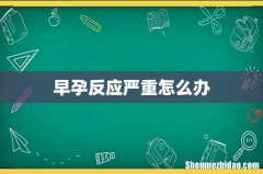 早孕反应严重怎么办