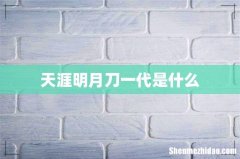 天涯明月刀一代是什么