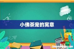 小佛茶宠的寓意