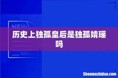 历史上独孤皇后是独孤婧瑶吗