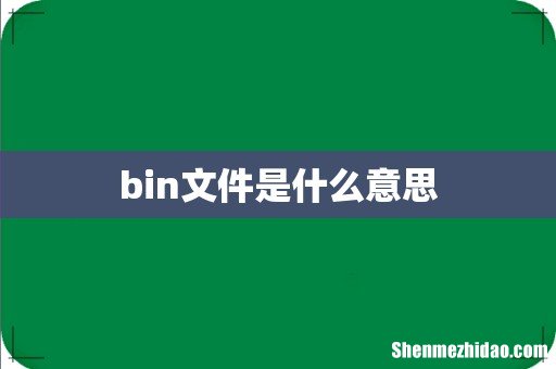bin文件是什么意思