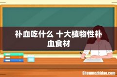补血吃什么 十大植物性补血食材