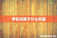 甲乳科属于什么科室