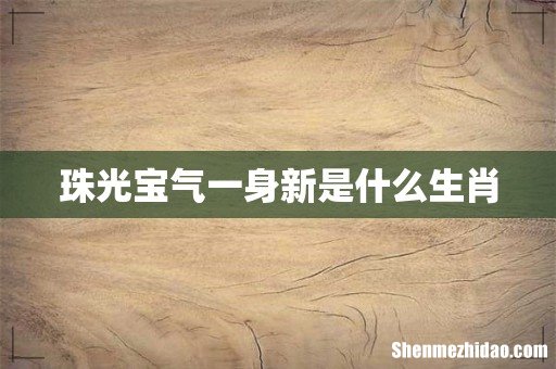 珠光宝气一身新是什么生肖