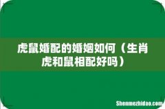 生肖虎和鼠相配好吗 虎鼠婚配的婚姻如何