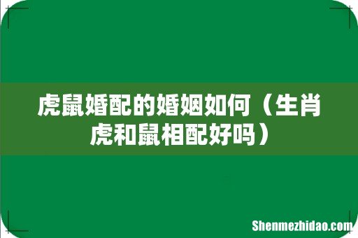生肖虎和鼠相配好吗 虎鼠婚配的婚姻如何
