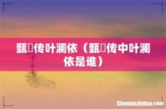 甄嬛传中叶澜依是谁 甄嬛传叶澜依