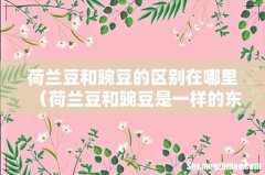 荷兰豆和豌豆是一样的东西吗 荷兰豆和豌豆的区别在哪里