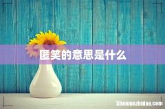 匿笑的意思是什么