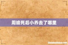 周瑜死后小乔去了哪里