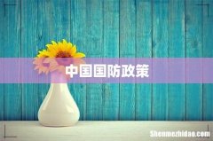 中国国防政策