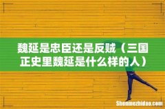 三国正史里魏延是什么样的人 魏延是忠臣还是反贼
