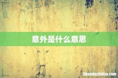 意外是什么意思