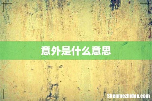 意外是什么意思