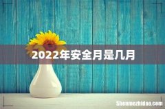 2022年安全月是几月