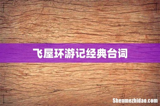 飞屋环游记经典台词