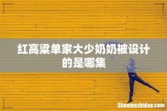 红高粱单家大少奶奶被设计的是哪集