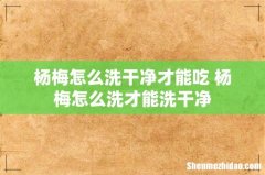 杨梅怎么洗干净才能吃 杨梅怎么洗才能洗干净