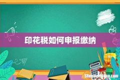 印花税如何申报缴纳