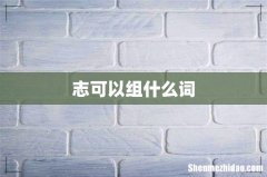 志可以组什么词