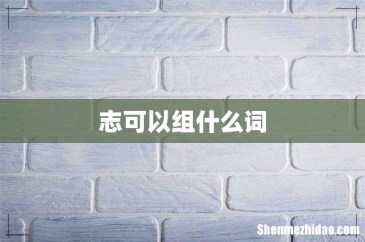志可以组什么词