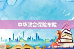 中华联合保险车险