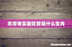 忠厚老实最吃苦是什么生肖